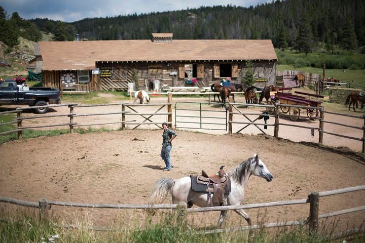 Dan T.'s photo of camping with a horse at Beaver Meadows Resort Ranch near Red Feather Lakes, CO