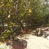 Review photo of Long Key State Park Campground by Michele J., May 10, 2019