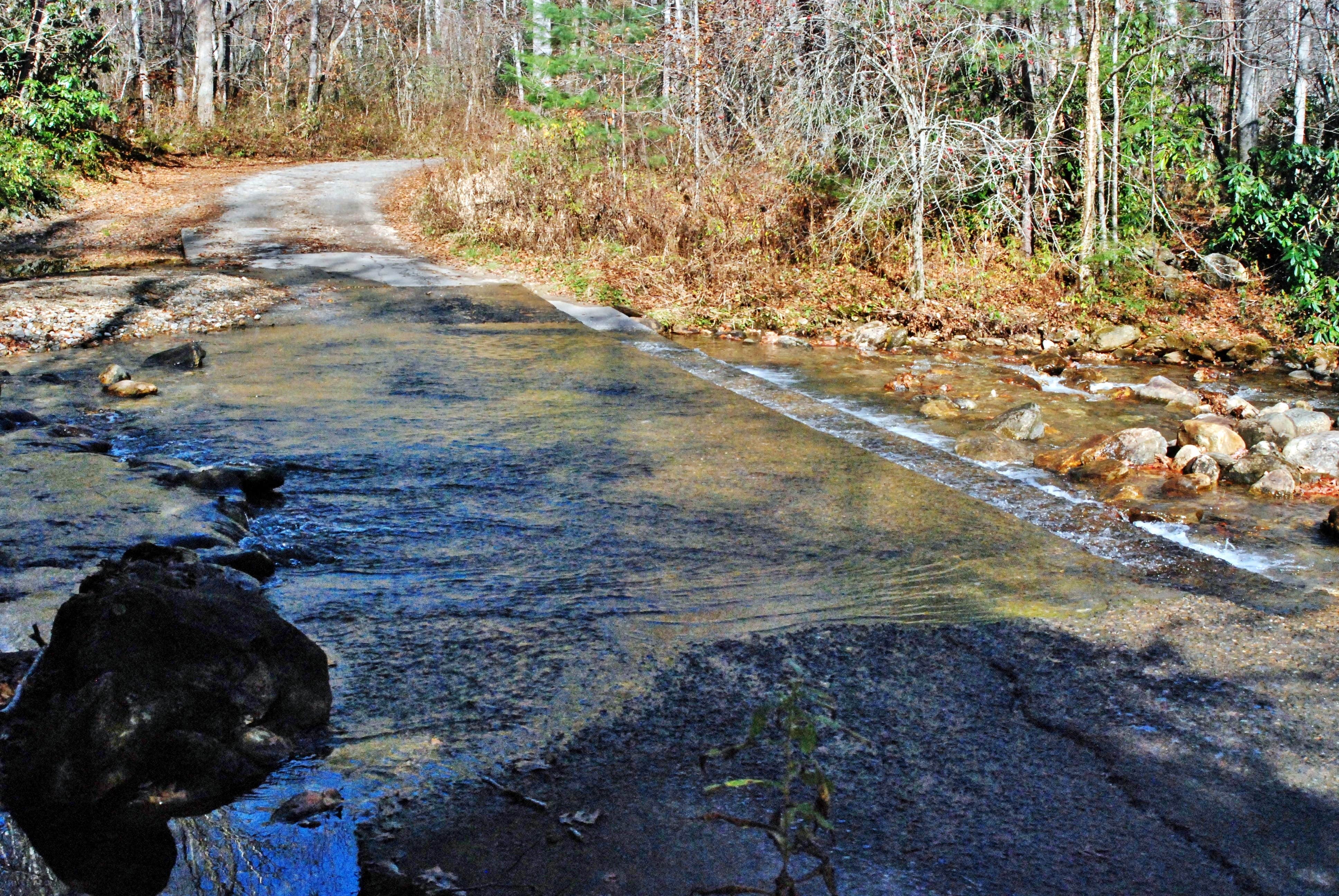 Camper-submitted photo at Sunburst Dispersed Camping near Balsam Grove, NC