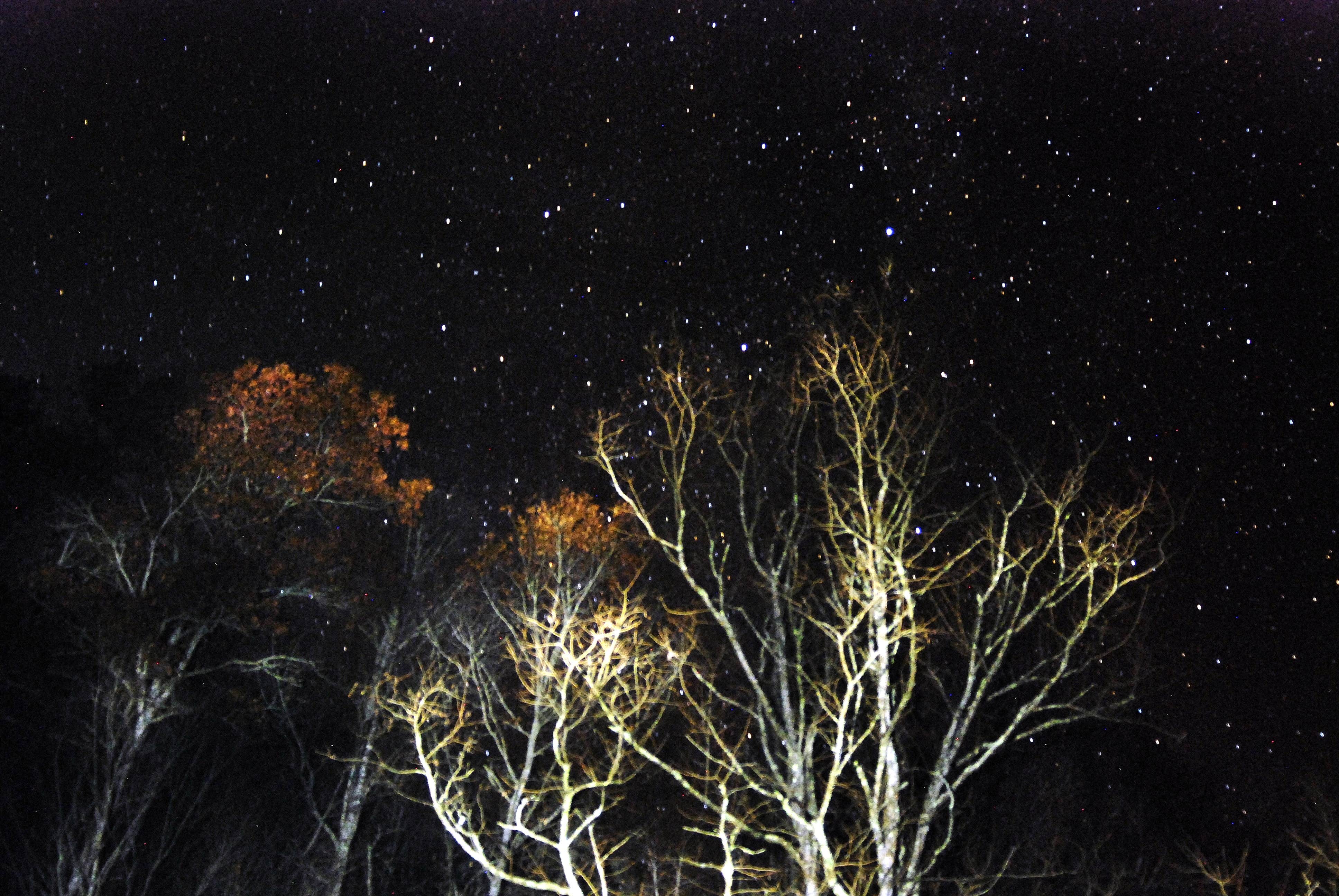 Myron C.'s photo of a dispersed camping area at Sunburst Dispersed Camping near Candler, NC