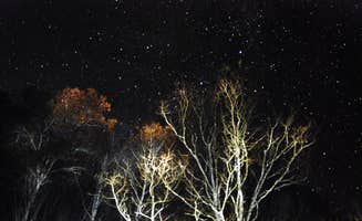 Myron C.'s photo of a dispersed camping area at Sunburst Dispersed Camping near National Forests in North Carolina
