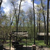 Review photo of Lewis Mountain Campground — Shenandoah National Park by Kate C., May 11, 2019