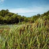 Review photo of Twin Valley Campground — Governor Dodge State Park by Meg  S., August 1, 2015
