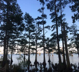 Camper-submitted photo from Osprey Nest Campground