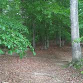 Review photo of Lake Norman State Park by Todd V., May 11, 2019