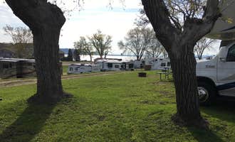 Camping near Zumbro Bottoms West — R.J.D. Memorial Hardwood State Forest: Lake Pepin Campground & Trailer Court, Lake City, Minnesota