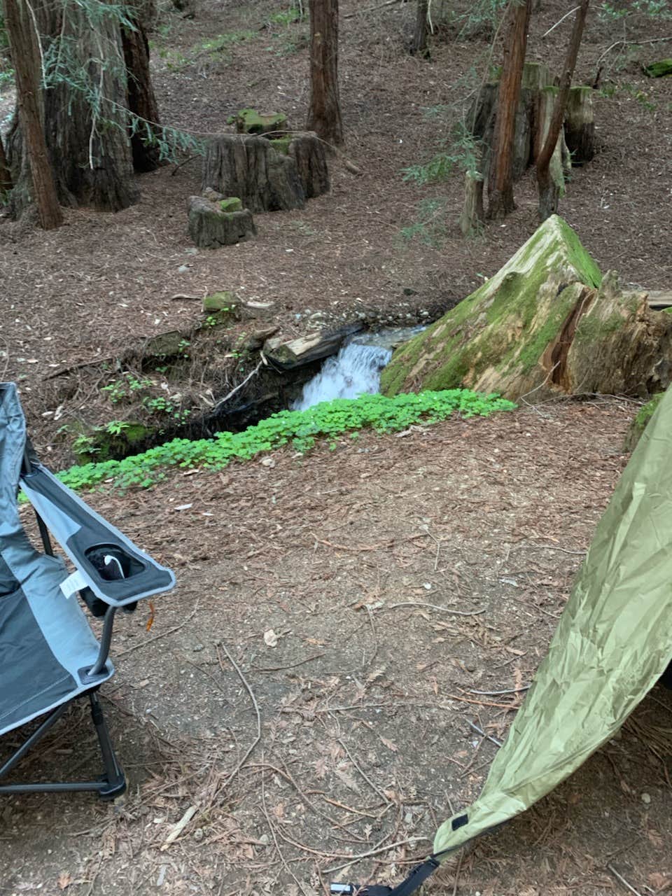 Camper-submitted photo at Ventana Campground near Fort Hunter Liggett, CA