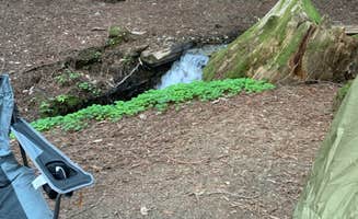 Elliott B.'s photo at Ventana Campground near Carmel Valley Village, CA