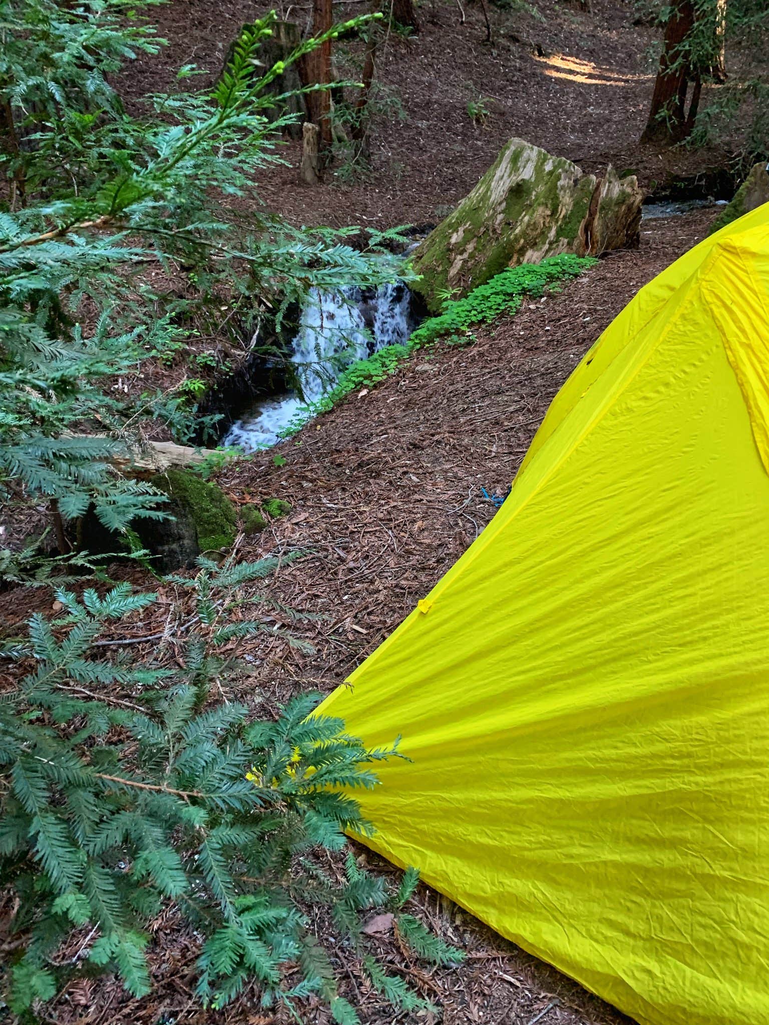 Elliott B.'s photo at Ventana Campground near Big Sur, CA