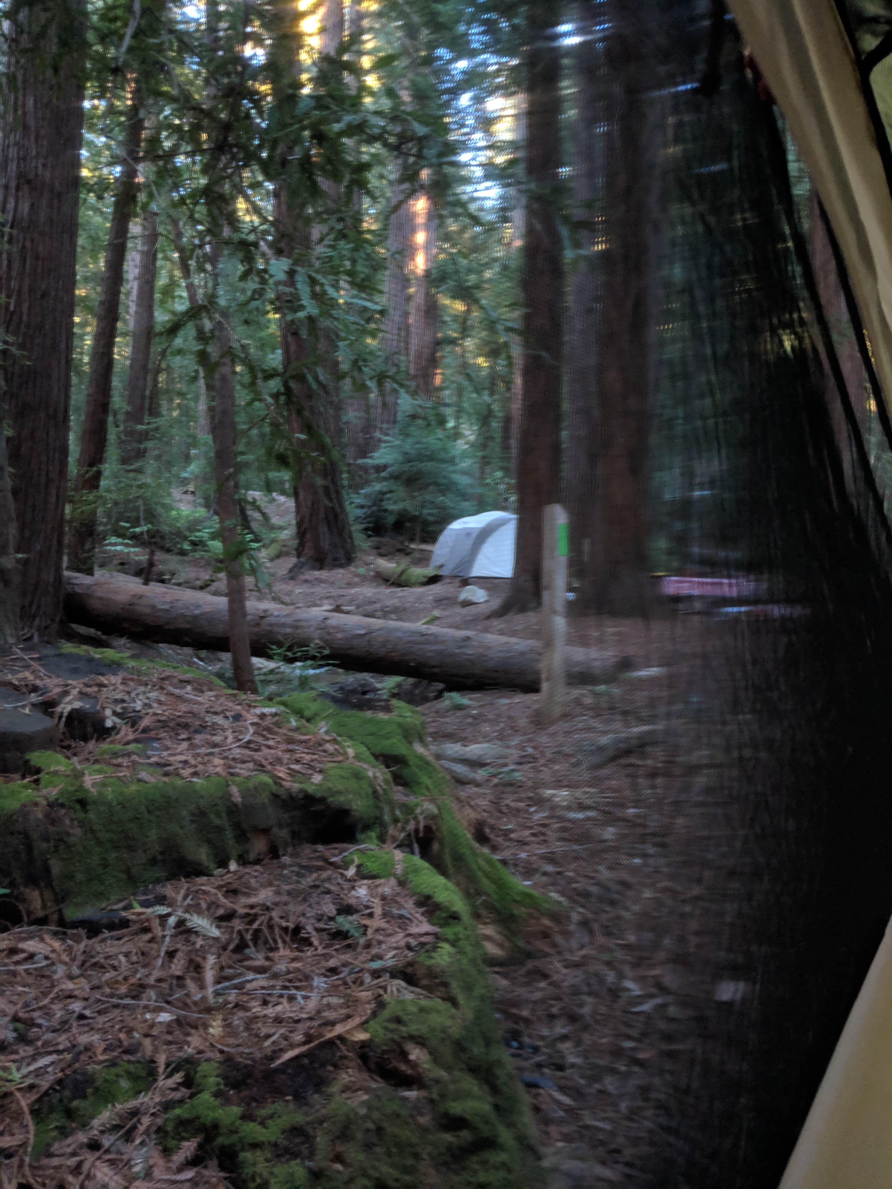 Elliott B.'s photo of tent camping at Ventana Campground near Hollister, CA