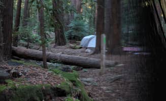 Elliott B.'s photo of tent camping at Ventana Campground near Jolon, CA