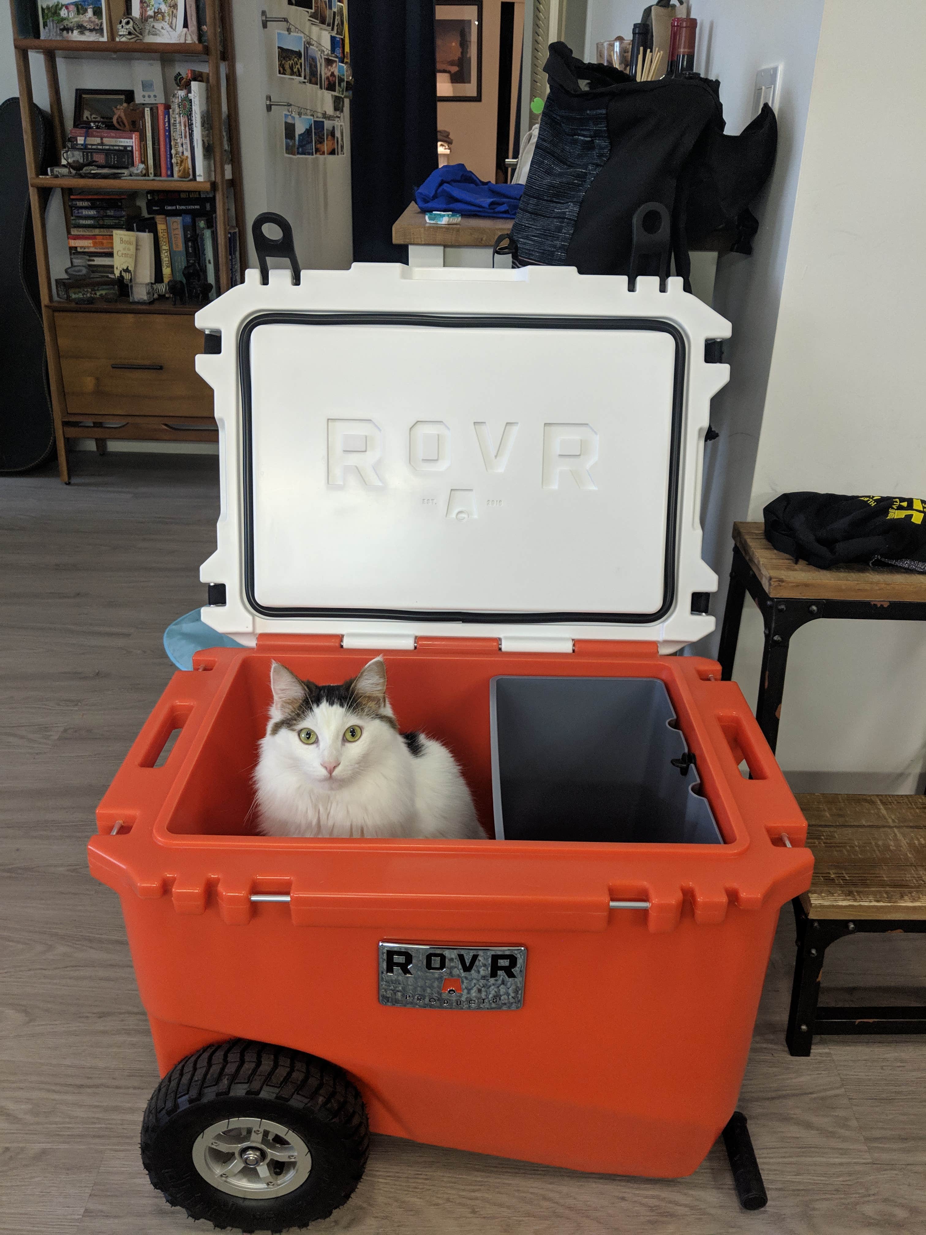 Elliott B.'s photo of camping with pets at Ventana Campground near Carmel Valley Village, CA