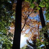 Review photo of South Nicolet Bay Campground — Peninsula State Park by Shirwil L., May 11, 2019