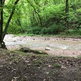 Review photo of Roaring River State Park Campground by Perrine C., May 11, 2019