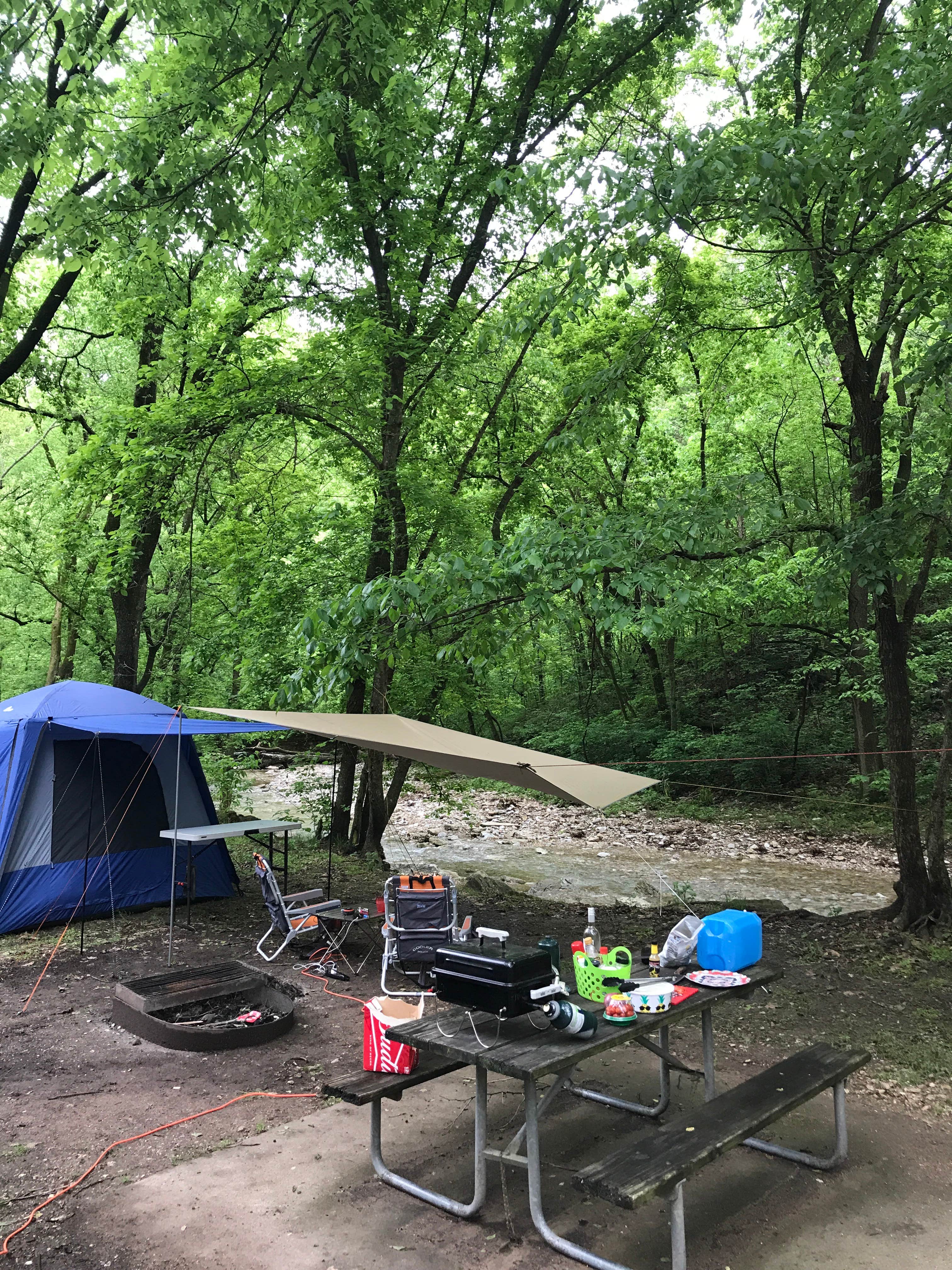 Perrine C.'s photo at Roaring River State Park Campground near Aurora, MO