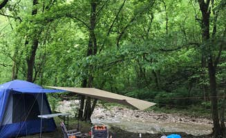 Perrine C.'s photo at Roaring River State Park Campground near Aurora, MO