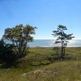 Review photo of Kohler-Andrae State Park by Shirwil L., May 11, 2019