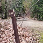 Review photo of Monadnock State Park Campground by Jean C., May 11, 2019