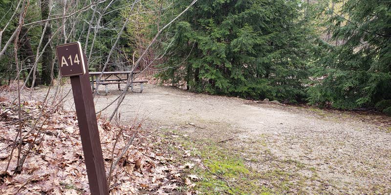 Camper submitted image from Gilson Pond Area Campground — Monadnock State Park