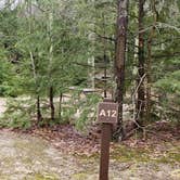 Review photo of Monadnock State Park Campground by Jean C., May 11, 2019