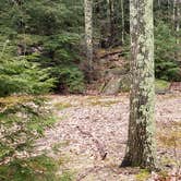 Review photo of Monadnock State Park Campground by Jean C., May 11, 2019