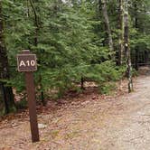 Review photo of Monadnock State Park Campground by Jean C., May 11, 2019