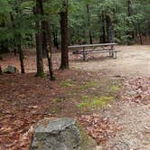 Review photo of Monadnock State Park Campground by Jean C., May 11, 2019