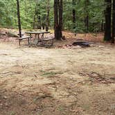 Review photo of Monadnock State Park Campground by Jean C., May 11, 2019