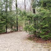 Review photo of Monadnock State Park Campground by Jean C., May 11, 2019