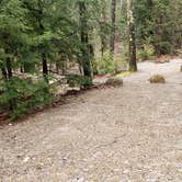 Review photo of Monadnock State Park Campground by Jean C., May 11, 2019