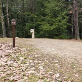 Review photo of Monadnock State Park Campground by Jean C., May 11, 2019