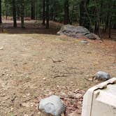 Review photo of Monadnock State Park Campground by Jean C., May 11, 2019