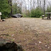 Review photo of Monadnock State Park Campground by Jean C., May 11, 2019