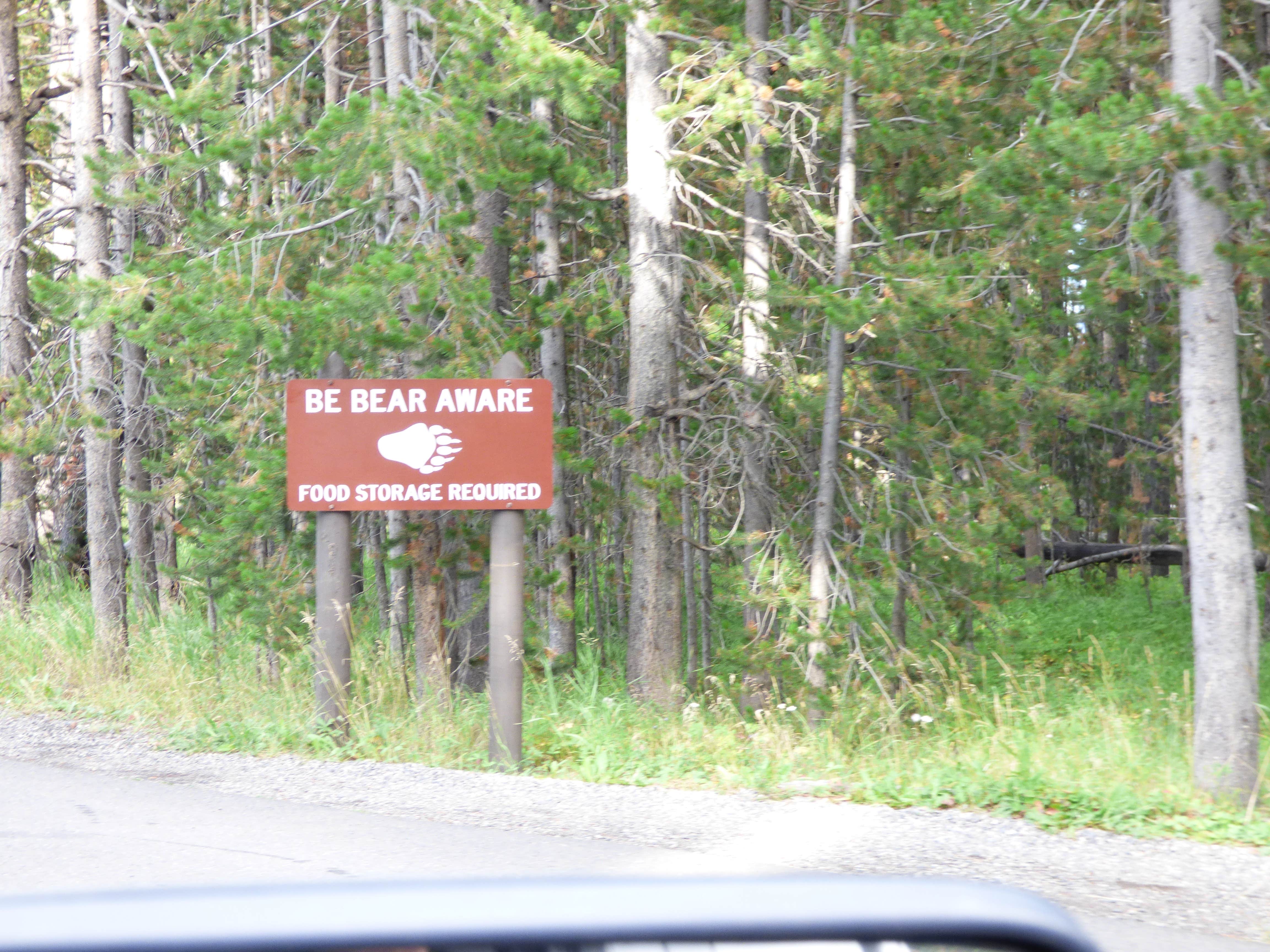 Camper submitted image from Fishing Bridge RV Park--Yellowstone National Park - 5