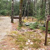 Review photo of Monadnock State Park Campground by Jean C., May 11, 2019