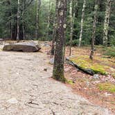 Review photo of Monadnock State Park Campground by Jean C., May 11, 2019