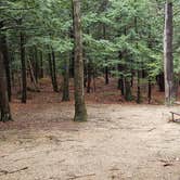 Review photo of Monadnock State Park Campground by Jean C., May 11, 2019