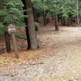 Review photo of Monadnock State Park Campground by Jean C., May 11, 2019