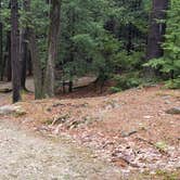 Review photo of Monadnock State Park Campground by Jean C., May 11, 2019