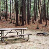 Review photo of Monadnock State Park Campground by Jean C., May 11, 2019