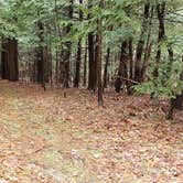 Review photo of Monadnock State Park Campground by Jean C., May 11, 2019