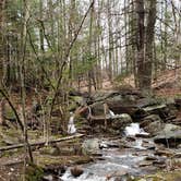 Review photo of Monadnock State Park Campground by Jean C., May 11, 2019