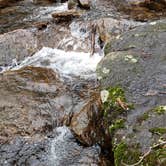 Review photo of Monadnock State Park Campground by Jean C., May 11, 2019