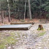 Review photo of Monadnock State Park Campground by Jean C., May 11, 2019