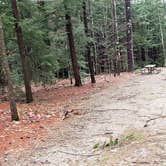 Review photo of Monadnock State Park Campground by Jean C., May 11, 2019