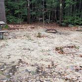 Review photo of Monadnock State Park Campground by Jean C., May 11, 2019