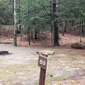 Review photo of Monadnock State Park Campground by Jean C., May 11, 2019