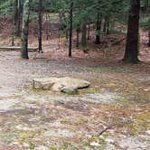 Review photo of Monadnock State Park Campground by Jean C., May 11, 2019