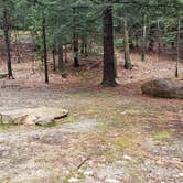 Review photo of Monadnock State Park Campground by Jean C., May 11, 2019