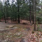 Review photo of Monadnock State Park Campground by Jean C., May 11, 2019